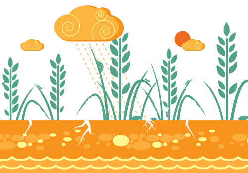 Akademie Fresenius Online Training: Environmental Fate and Behaviour Evaluation of PPP in Europe