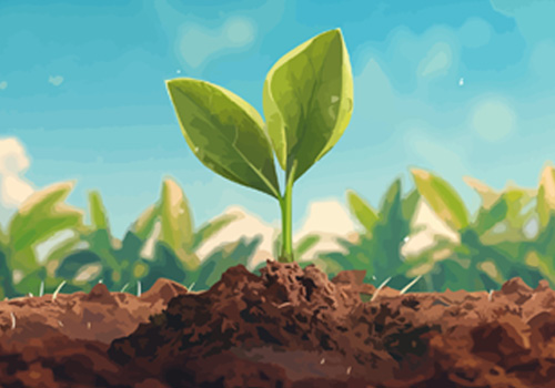 Akademie Fresenius Training: Fertilisers and Plant Biostimulants under the Fertilising Products Regulation